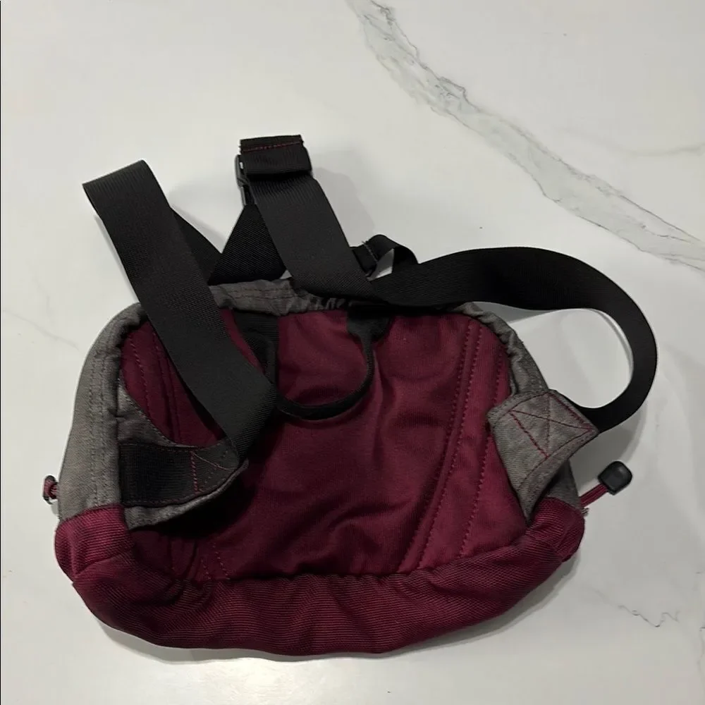 The North Face Gray and Burgundy Men's Bag